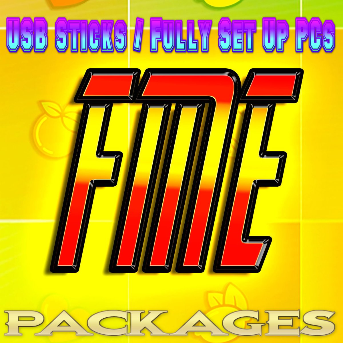 USB Sticks / Fully Set Up PCs